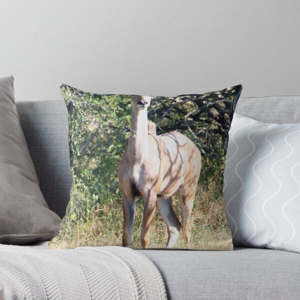 Item preview, African Kudu designed and sold by Rob Chiarolli.