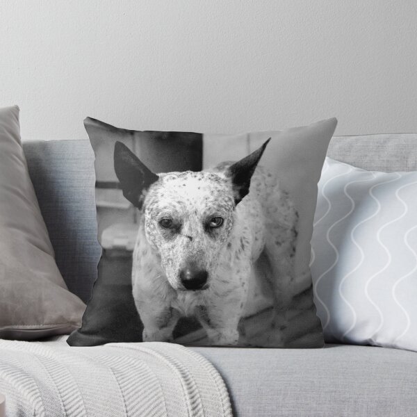 Item preview, Lucky is his name! designed and sold by Pamela  Batten.