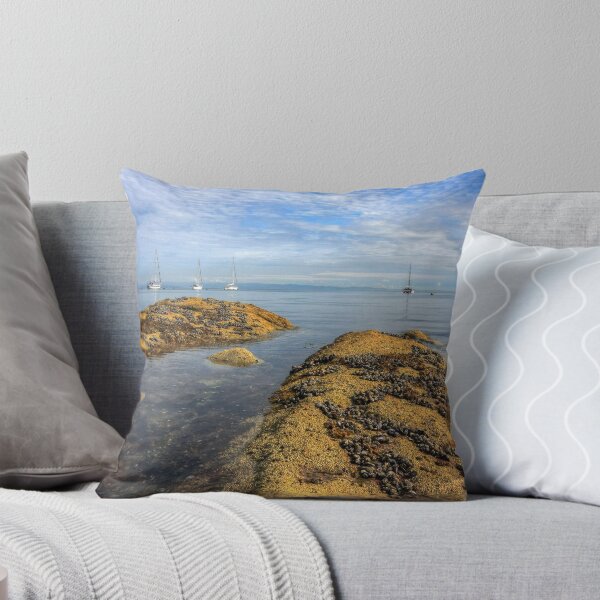 Item preview, BRODICK BAY designed and sold by MIKESCOTT.