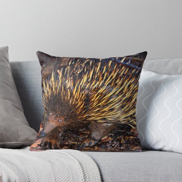 Artikelvorschau, Mr Echidna - What Big Claws You Have entworfen und verkauft von Bami.