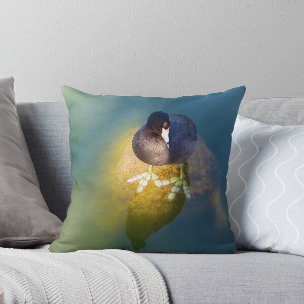 Item preview, American Coot San Francisco designed and sold by David Denny.