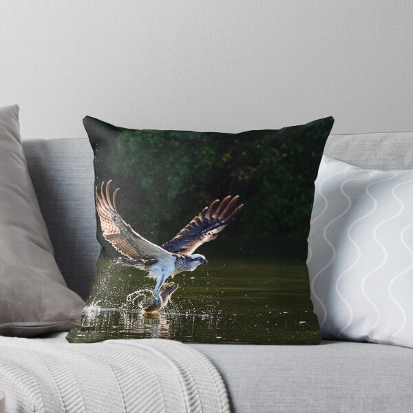 Item preview, Osprey 485 designed and sold by John Van Den Broeke.