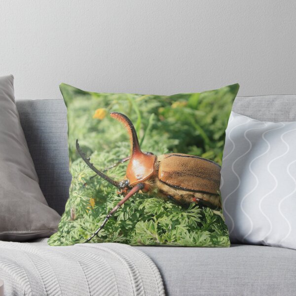 Item preview, Rhinoceros Beetle in a Park designed and sold by rhamm.