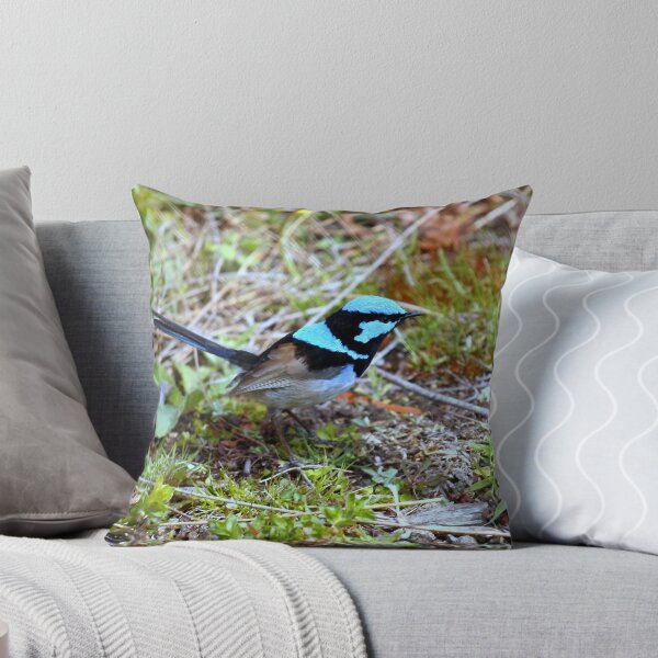 Artikelvorschau, Blue Wren entworfen und verkauft von Kevin Brett.