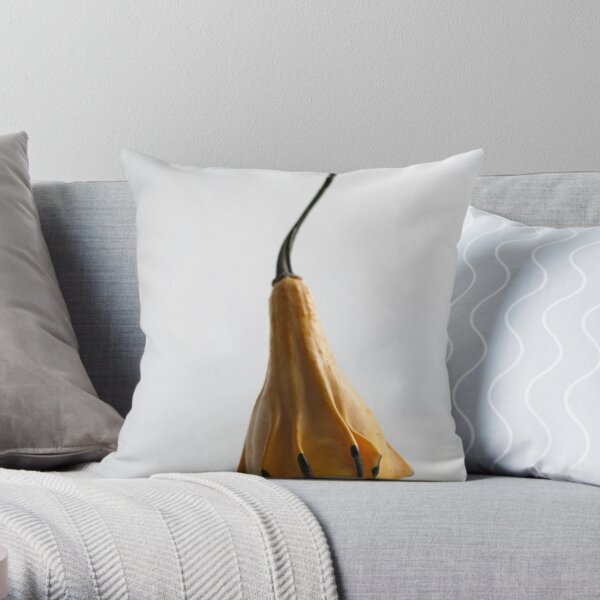Farmers Market Gourds 2014 -1 Throw Pillow