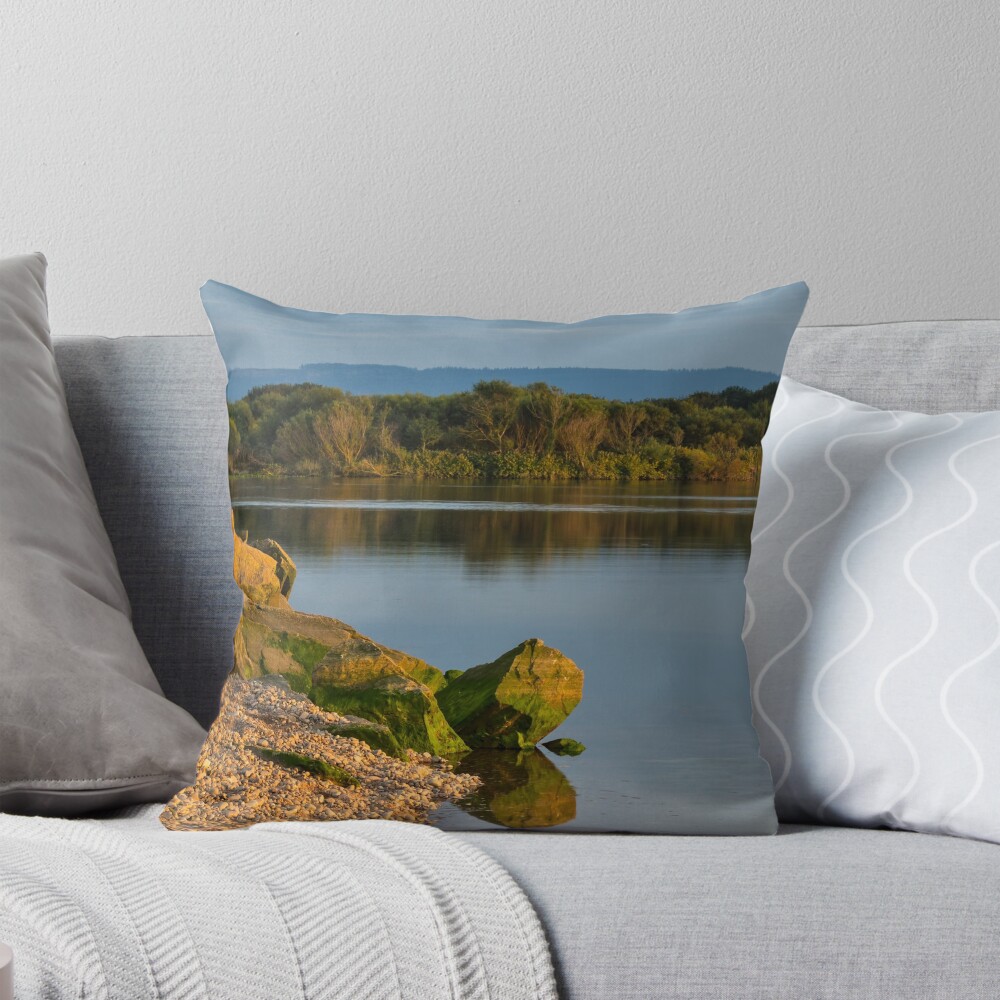Item preview, Throw Pillow designed and sold by JASPERIMAGE.