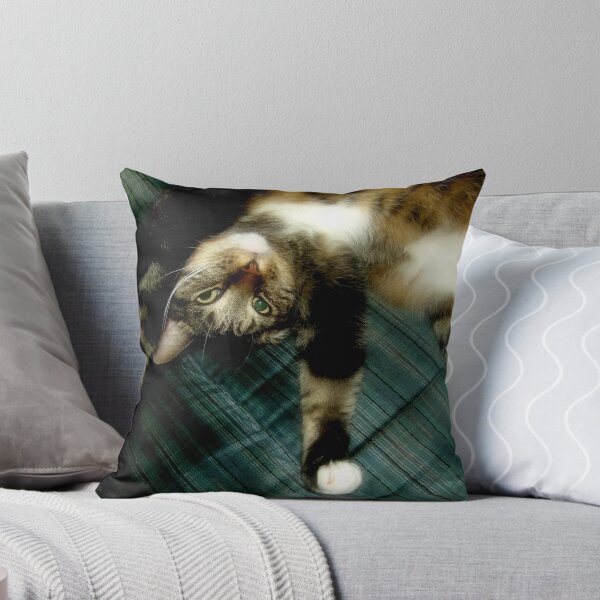 Item preview, You Are Interrupting My Nap designed and sold by James Brotherton.