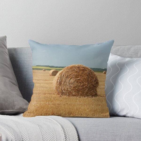 Item preview, Straw Bale designed and sold by rhamm.