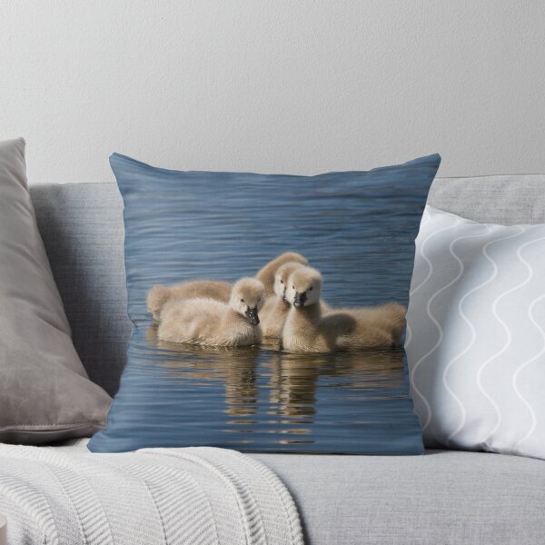 Item preview, Cygnet Cuteness designed and sold by byronbackyard.