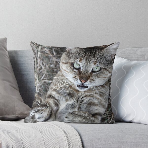Item preview, Badass Cat designed and sold by V-Light Photography.