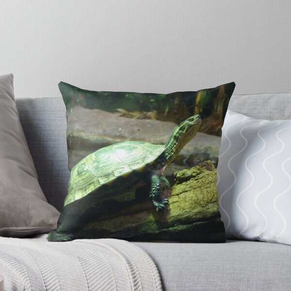 Item preview, Turtle stretch designed and sold by Sandra Willis.