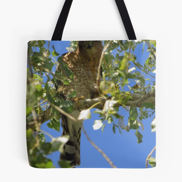 Item preview, Coopers Hawk ~ Camera Ham designed and sold by Luck of the Shutter.