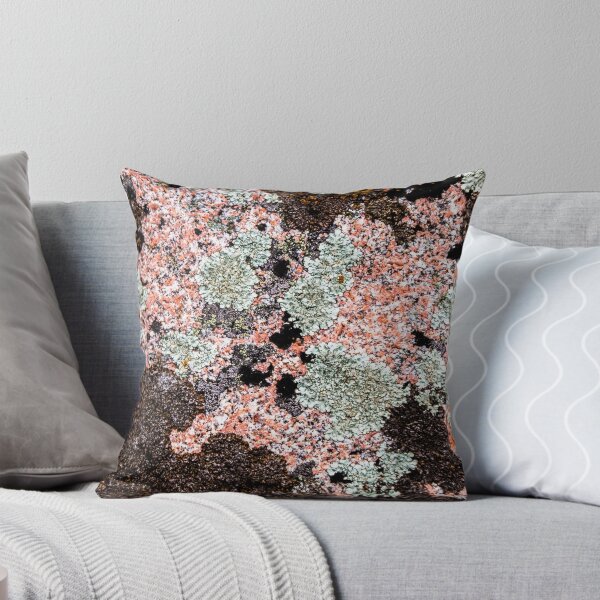 Item preview, Lichen on pink granite designed and sold by Michael Brewer.