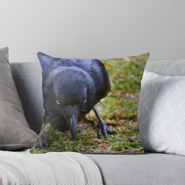 Item preview, Black Crow designed and sold by Bami.