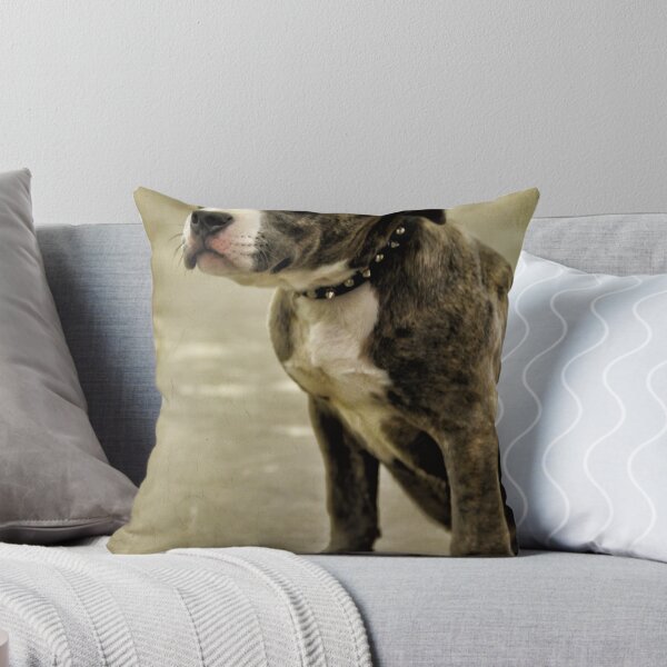 Item preview, Shy Baby designed and sold by Heather Haderly.