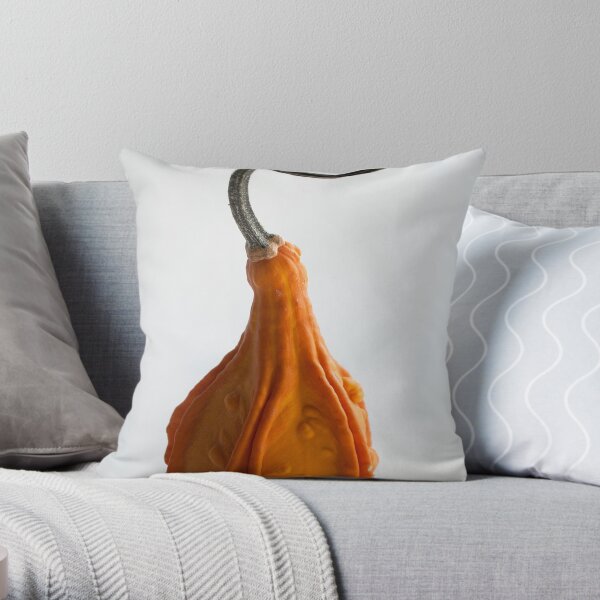 Farmers Market Gourds 2014 -3 Throw Pillow