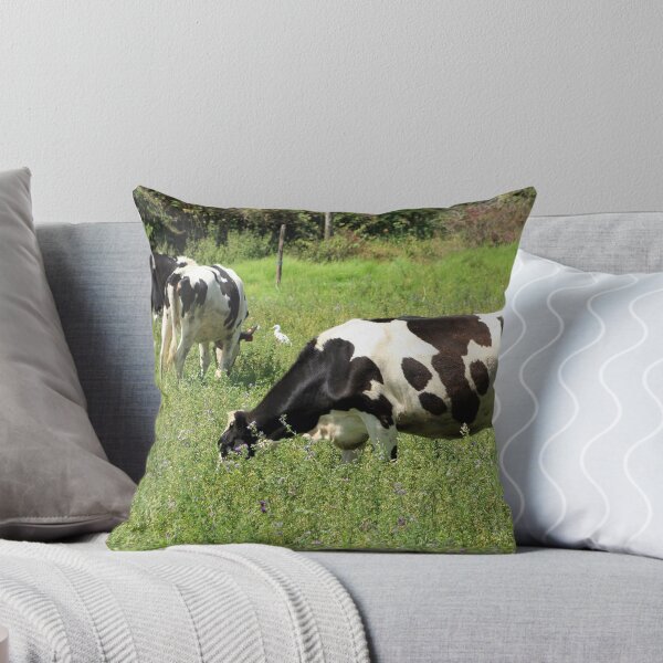 Item preview, Cows in Alfalfa designed and sold by rhamm.