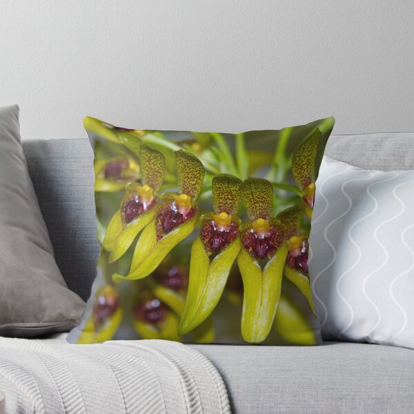 Item preview, Green Orchid designed and sold by Richard Murias.