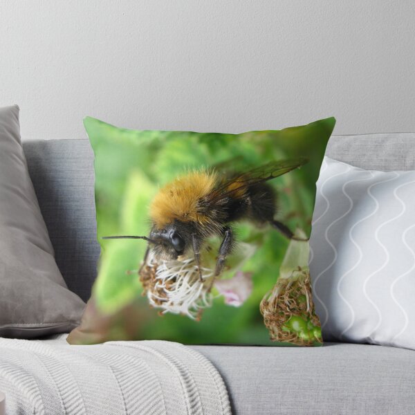 Item preview, Honey Bee designed and sold by LVanDhal.