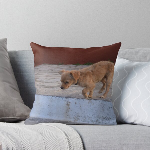 Item preview, Dog Kali Strata Symi Greek Island designed and sold by suziq1962.
