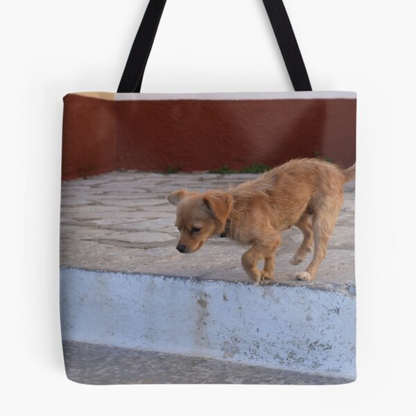 Item preview, Dog Kali Strata Symi Greek Island designed and sold by suziq1962.