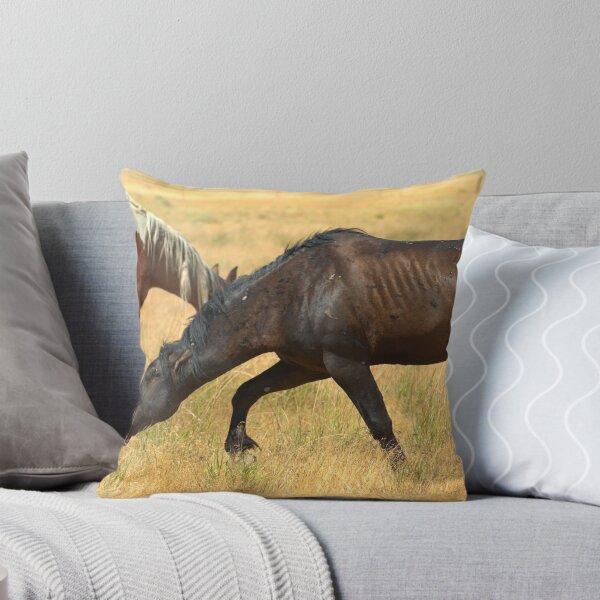 Item preview, Battle Scars - Blackie designed and sold by Kelly Jay.