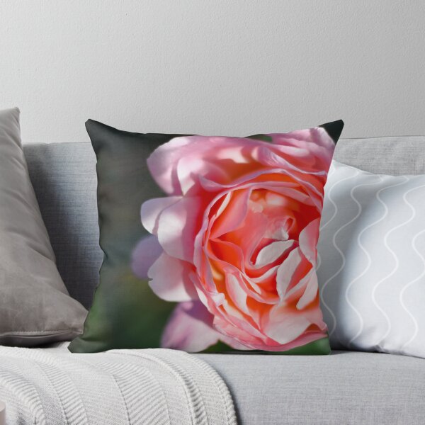 Item preview, Rose designed and sold by Alan Cooke.