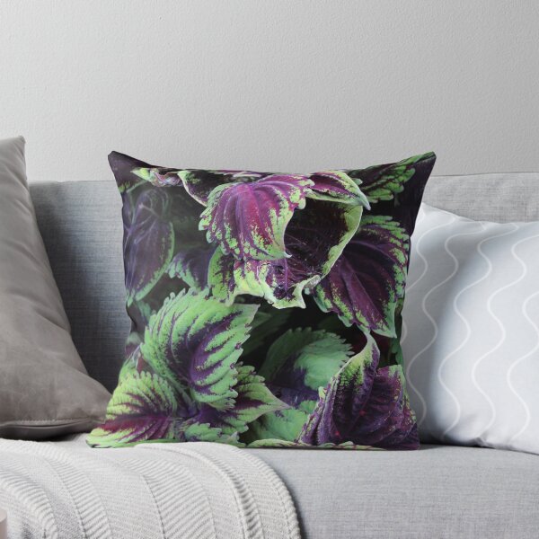 Item preview, Coleus designed and sold by corrado.