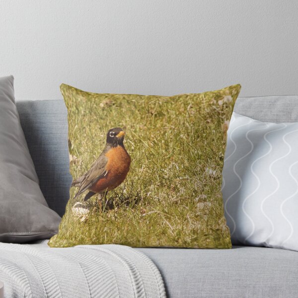 Artikelvorschau, American Robin entworfen und verkauft von rhamm.