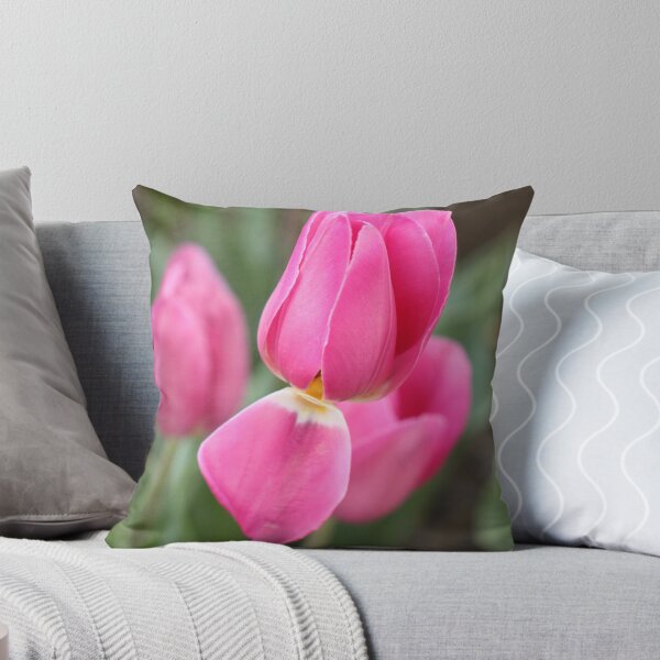 Item preview, Pink Tulip, Corbett Garden, Bowral designed and sold by Wendy Sinclair.