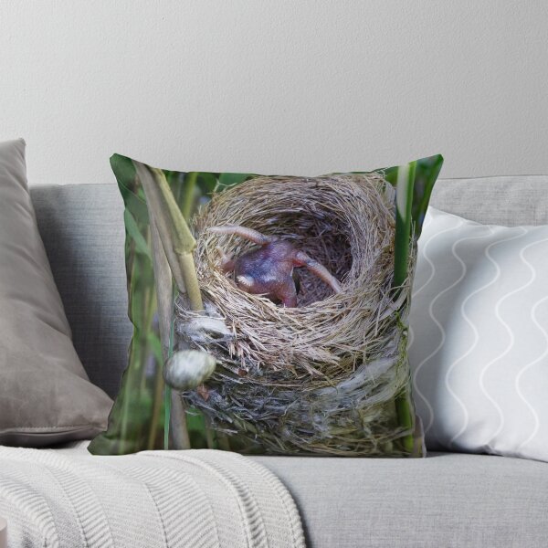 Item preview, Cuckoo chick ejecting Reed Warbler egg designed and sold by Richard Nicoll Photography.