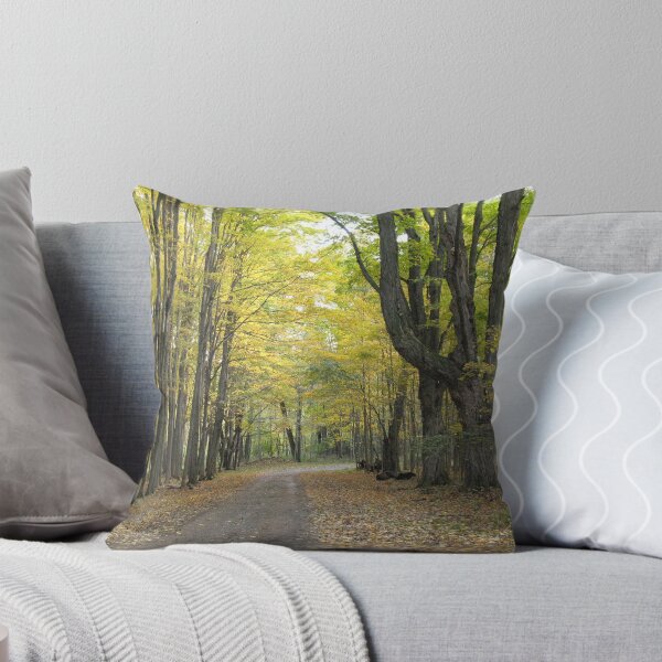 Item preview, Winding Road that Leads to Your Heart designed and sold by Liesl Gaesser.