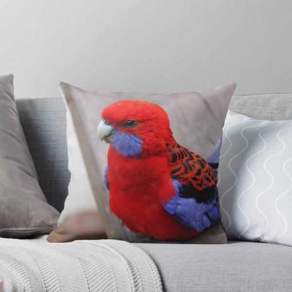 Item preview, King Parrot designed and sold by Wendy Sinclair.