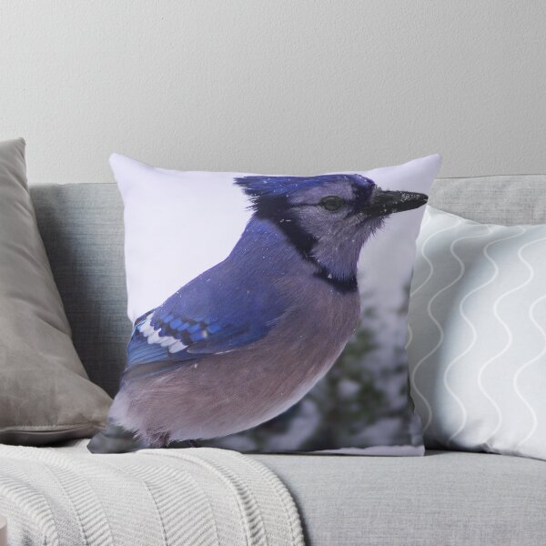 Item preview,  Winter Bluejay designed and sold by cherylorraine.