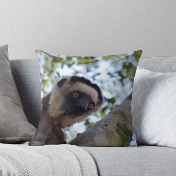Item preview, I'm A Verreaux's Sifaka designed and sold by Sauropod8.