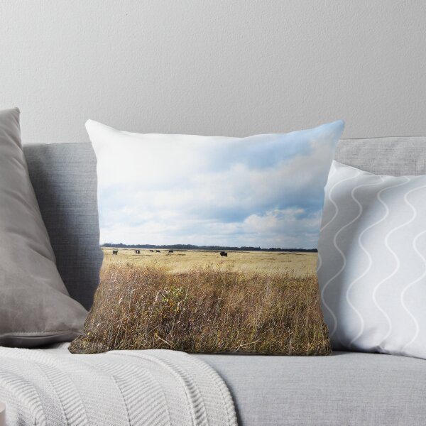Item preview, My Country is Flat #2 designed and sold by Hekla Hekla.