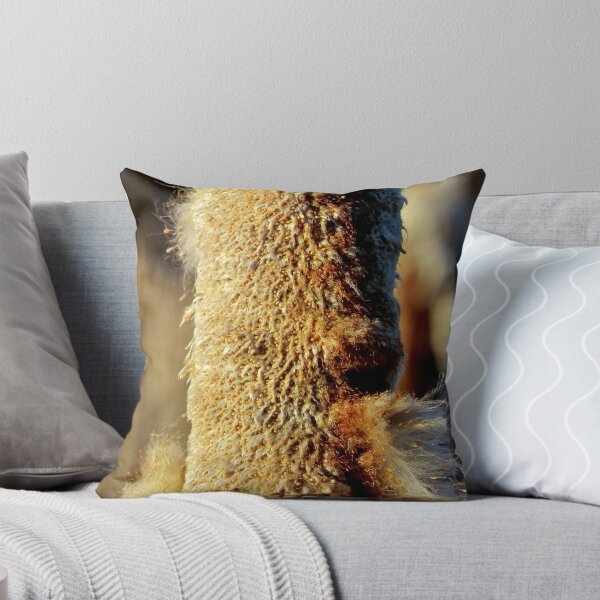 Item preview, Worse for Wear designed and sold by Kathleen Daley.