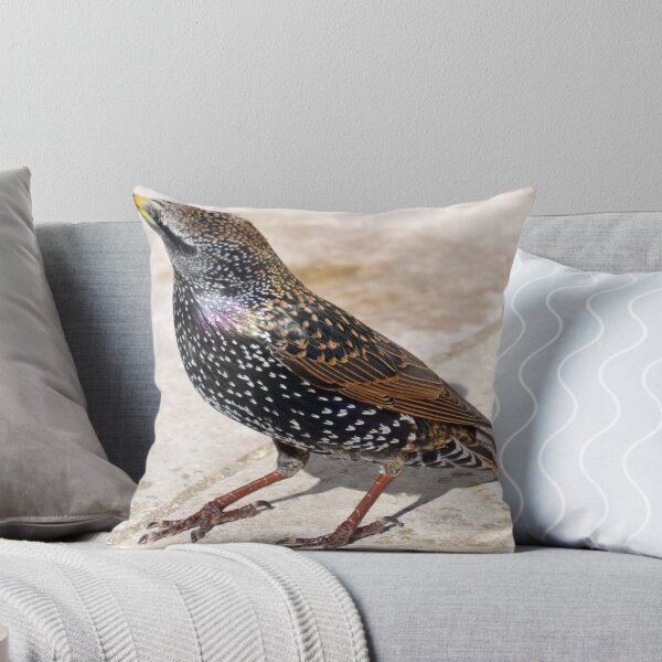 Item preview, The Starling designed and sold by lynn carter.