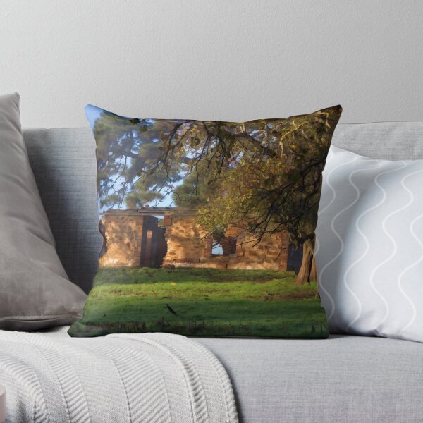 ~ A Window on the Past ~ Throw Pillow