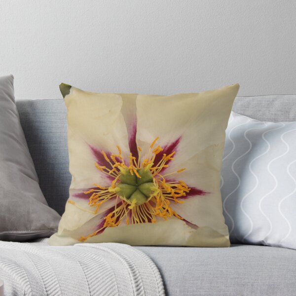 Artikelvorschau, White Peony entworfen und verkauft von Wendy Sinclair.