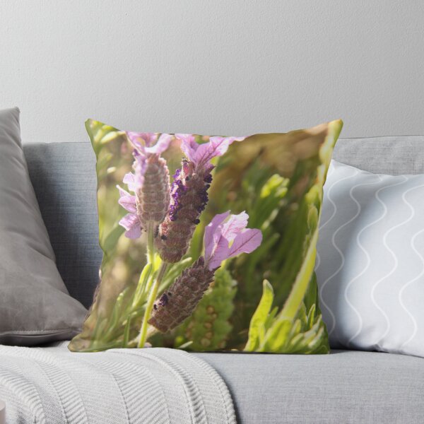Item preview, Mauve Lavender designed and sold by Wendy Sinclair.