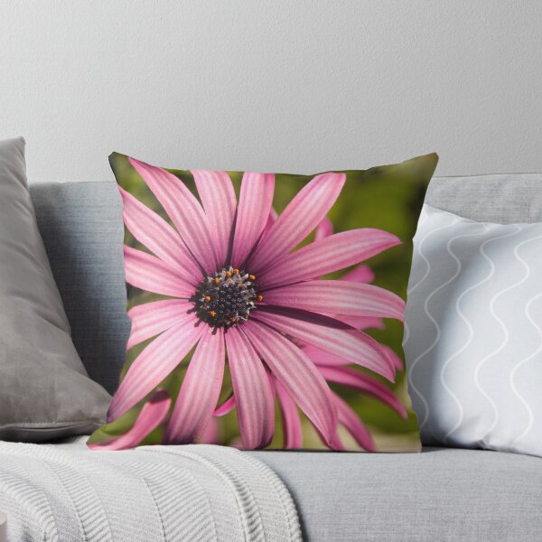 Item preview, Pink Daisy designed and sold by Wendy Sinclair.