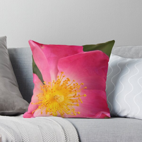Artikelvorschau, Pink Peony entworfen und verkauft von Wendy Sinclair.