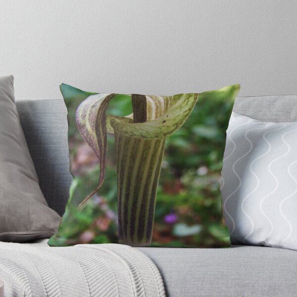 Item preview, Jack in the Pulpit designed and sold by Emily Felty.