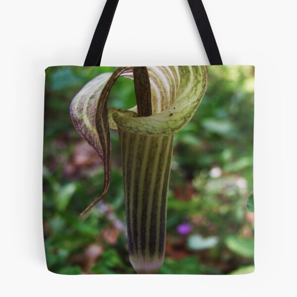 Item preview, Jack in the Pulpit designed and sold by Emily Felty.
