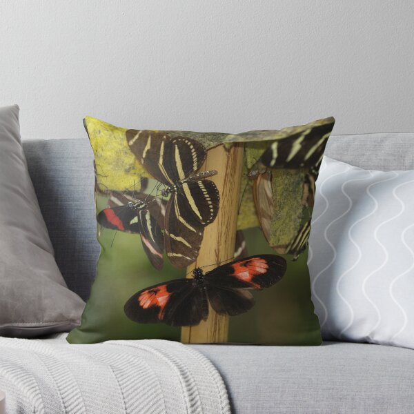 Item preview, Butterfly Party designed and sold by Carla Nicely.