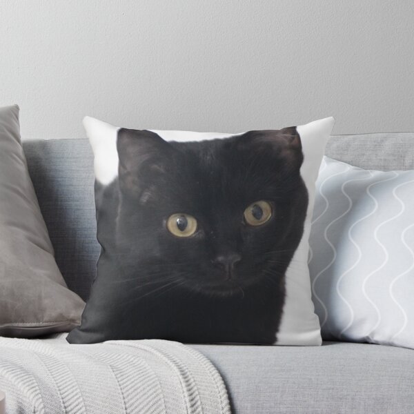 Item preview, Pose for Me Kitty designed and sold by Brenda Roy.