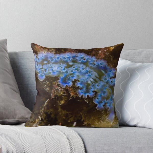 Item preview, Lettuce Sea Slug designed and sold by Mark Rosenstein.