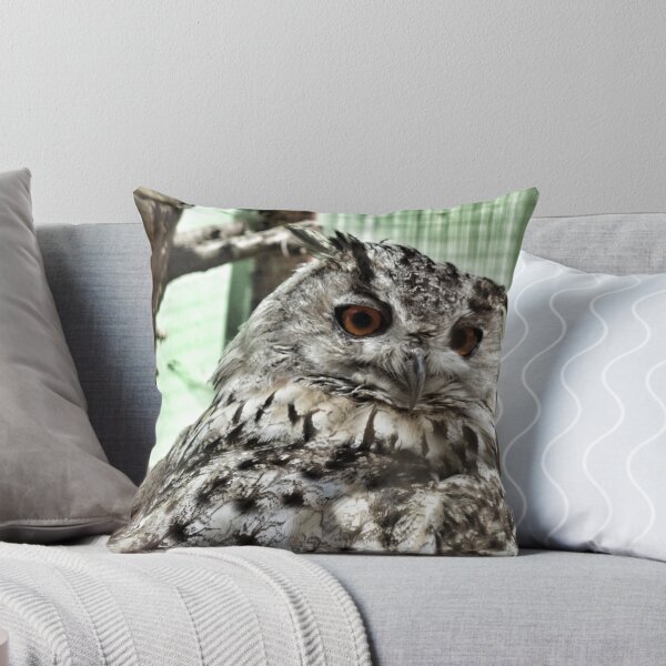 Item preview, Angry Owl designed and sold by Matt Keil.