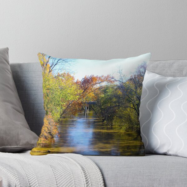 Item preview, SILVER CREEK IN SOUTHERN INDIANA designed and sold by Pauline Evans.